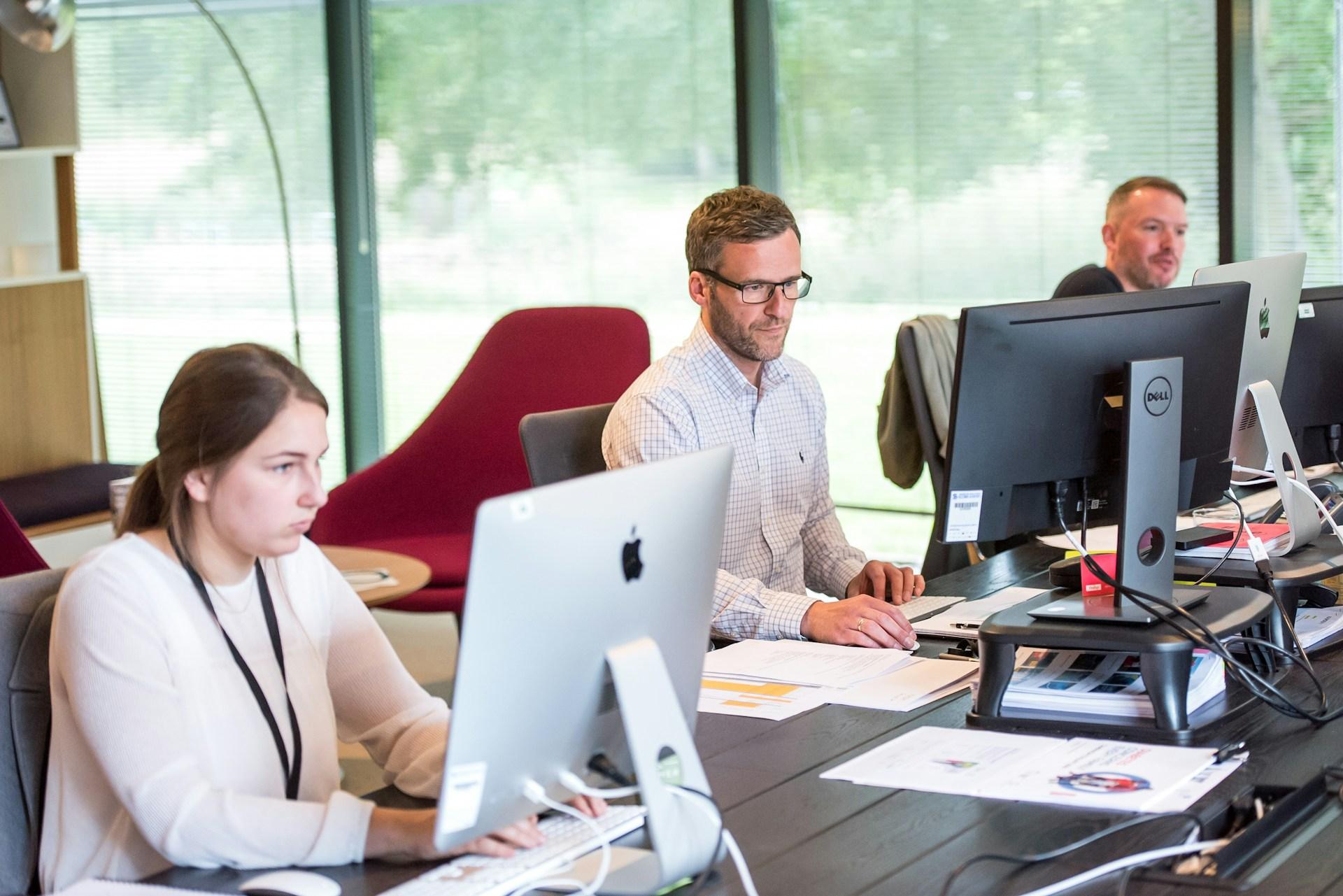 Employees working in a company